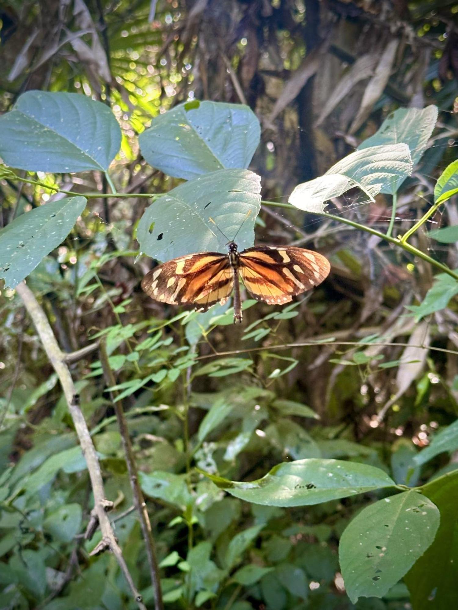 Eco Hotel Amanecer Tayrona El Zaino Εξωτερικό φωτογραφία