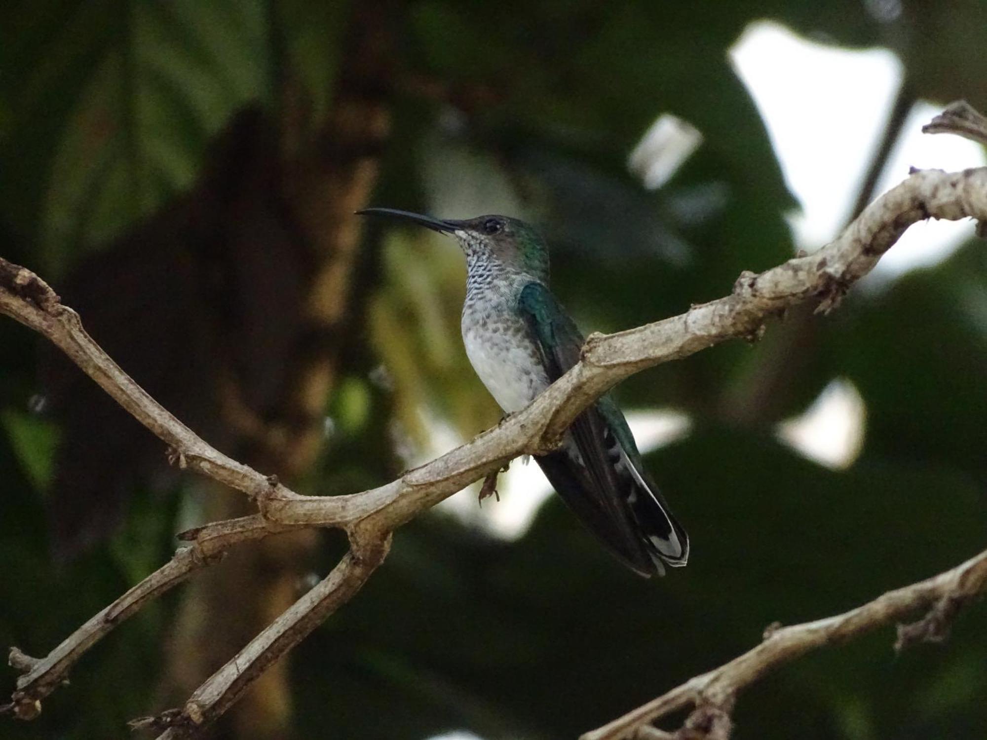Eco Hotel Amanecer Tayrona El Zaino Εξωτερικό φωτογραφία